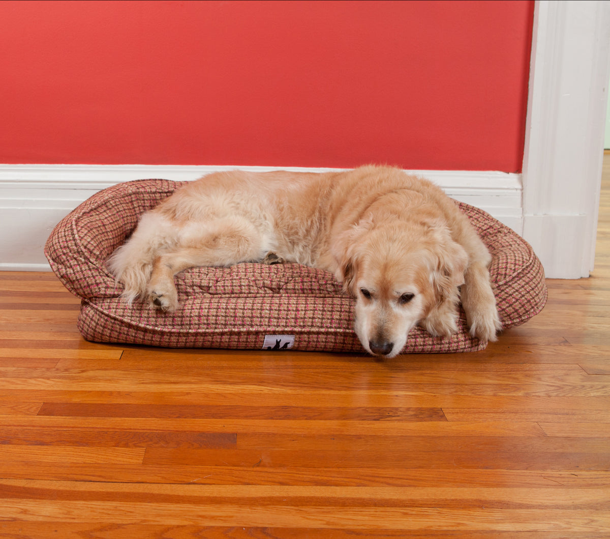 EZWash Check Headrest Memory Foam Dog Bed 3 Dog Pet Supply